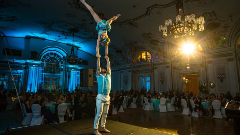 Circus acts performance