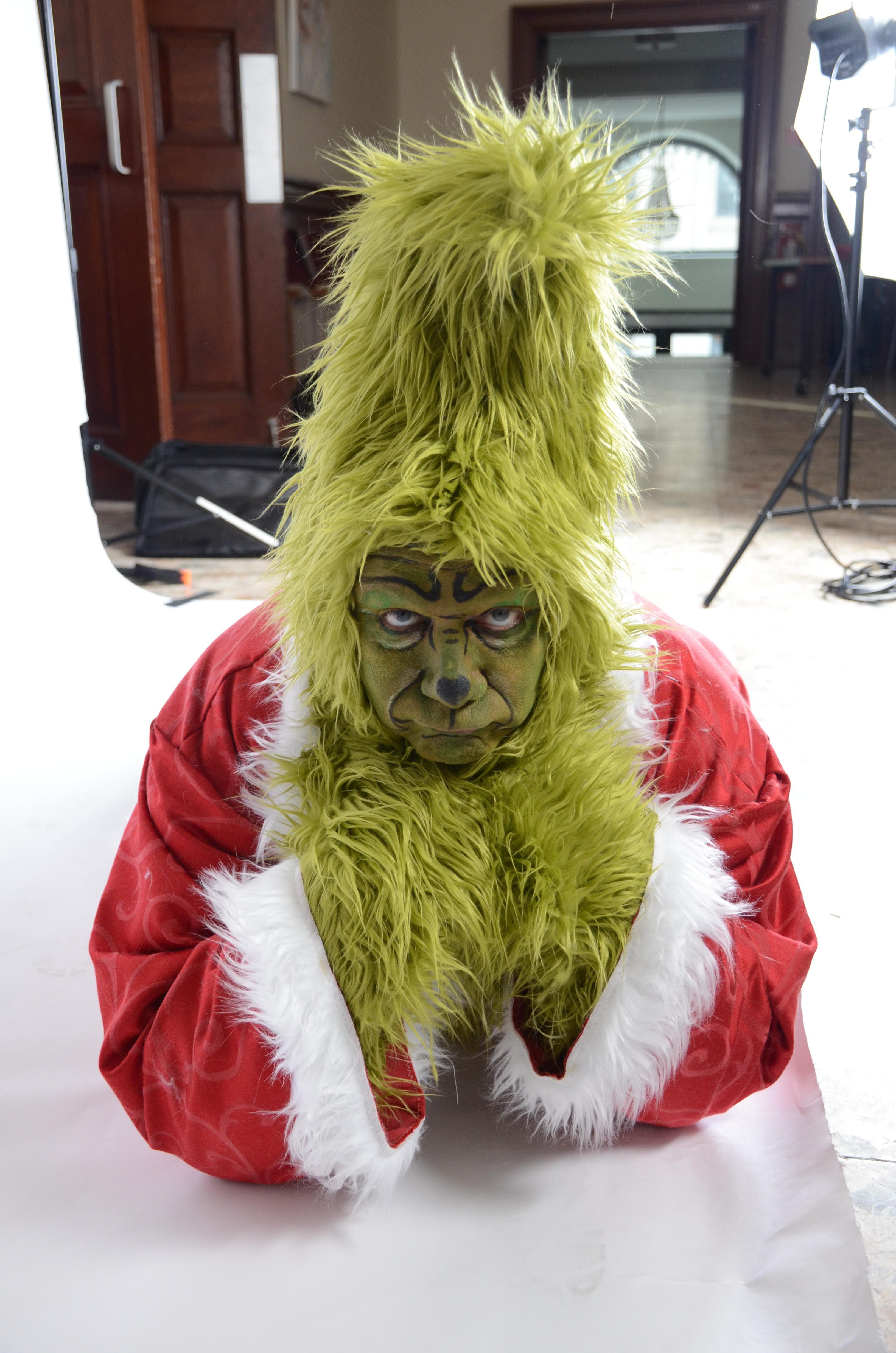 the-grinch gallery