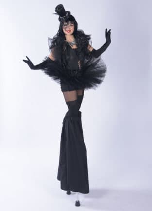 stiltsfullwidth 3 e1566469308980 313x432